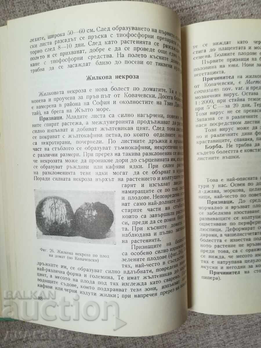 Diseases and Pests of Vegetable Crops - 6 Diseases and Pests of Vegetable Crops - 6