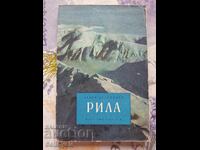 ✅RILA - PAVEL DELIRADEV❗