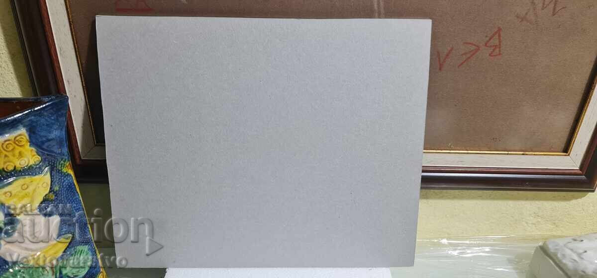 Tablou-MBK-HUD. ,,EKATERINA SAVOVA"-NENOVA - 7