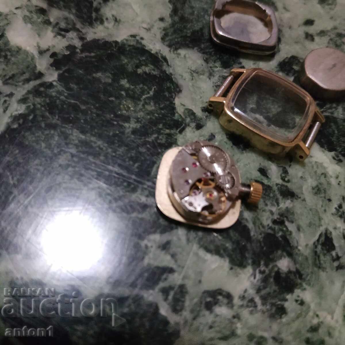 Καρδινάλιος Καρδινάλιος