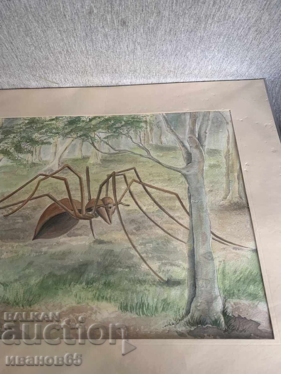 painting Mythical spider watercolor with price 45.00 BGN | € 23.01 painting Mythical spider watercolor with price 45.00 BGN | € 23.01