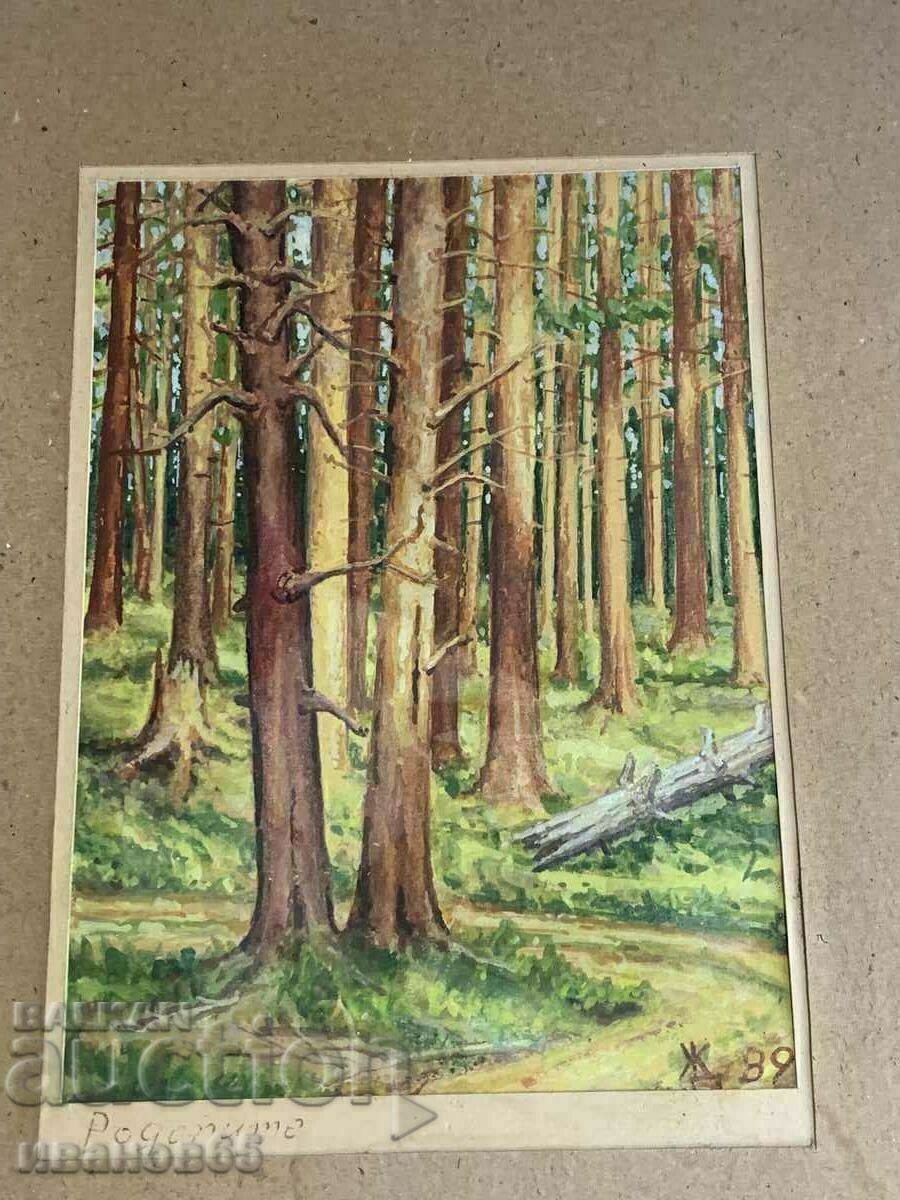 εικόνα Ροδόπη με τιμή 30.00 BGN | € 15.34 εικόνα Ροδόπη με τιμή 30.00 BGN | € 15.34