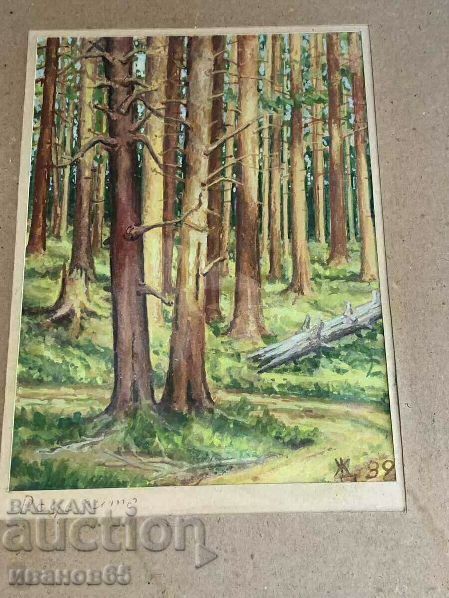 Δημοπρασία εικόνα Ροδόπη Δημοπρασία εικόνα Ροδόπη