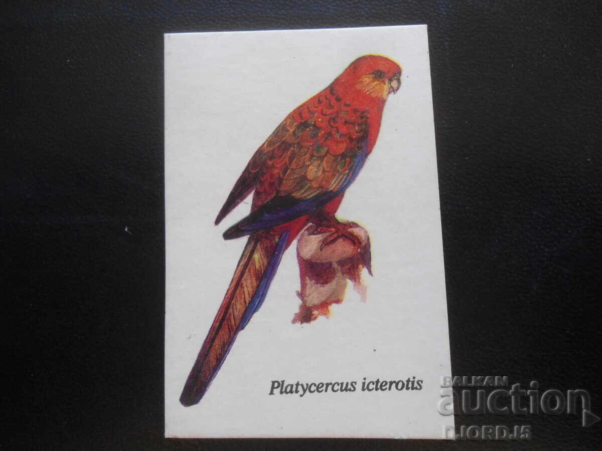 Παλιό βουλγαρικό ημερολόγιο, 1990