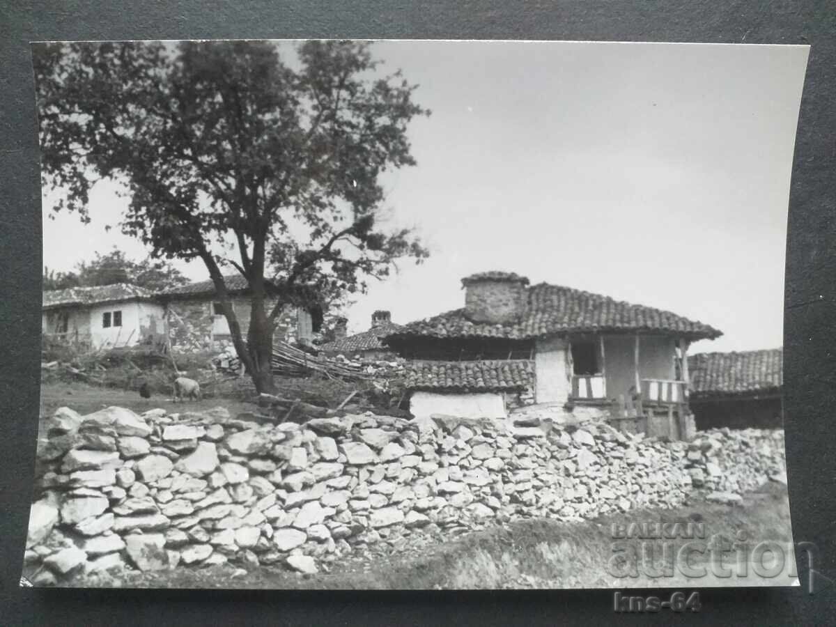 Aleksandar Stamboliyski Aleksandar Stamboliyski