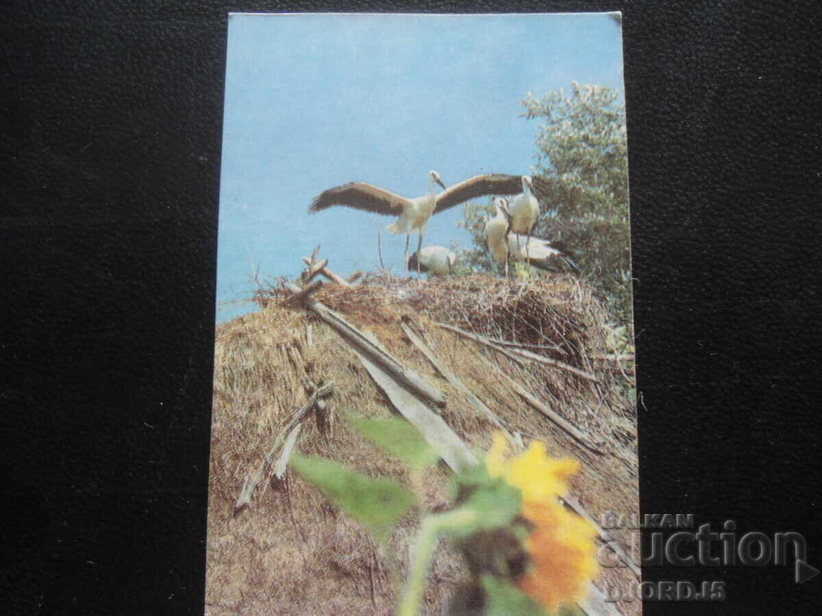 Παλαιό ημερολόγιο, 1989