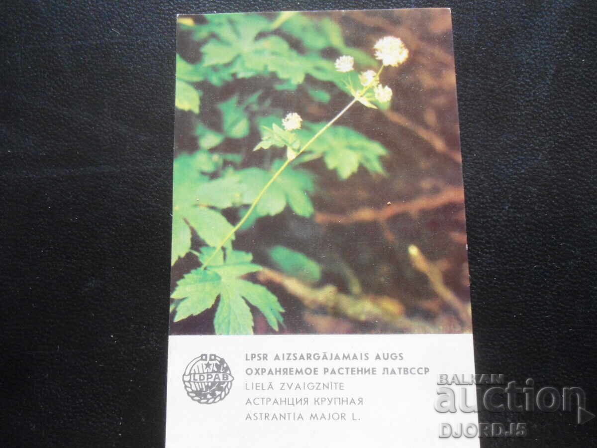 Παλαιό ημερολόγιο, 1984 Παλαιό ημερολόγιο, 1984