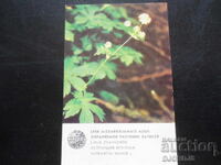 Calendar vechi, 1984