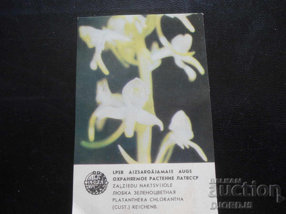 Calendar vechi, 1984