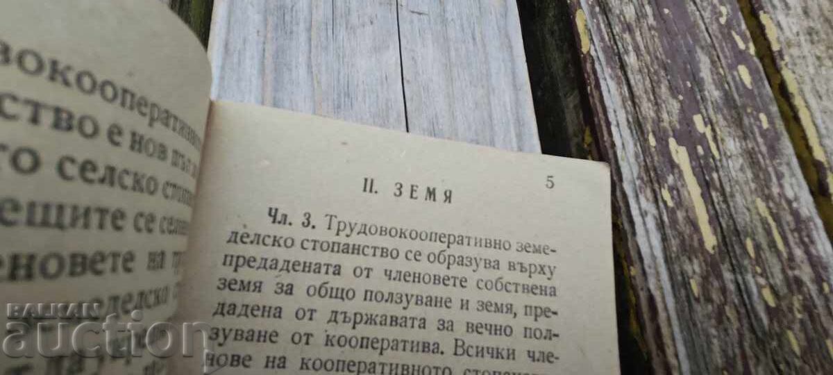 Exemplu de statut al CAP cu preț 50.00 BGN | € 25.56