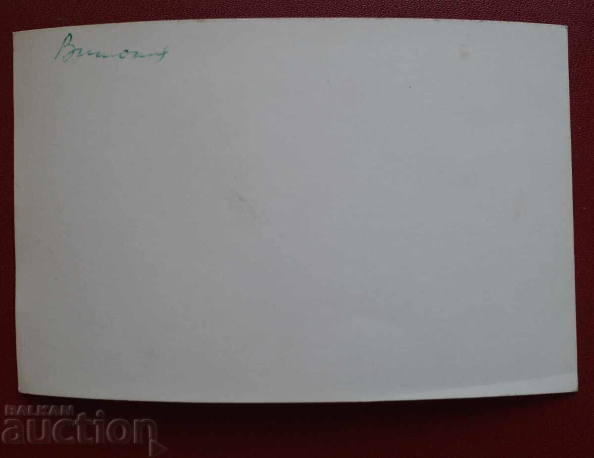 Δημοπρασία Καταφύγιο