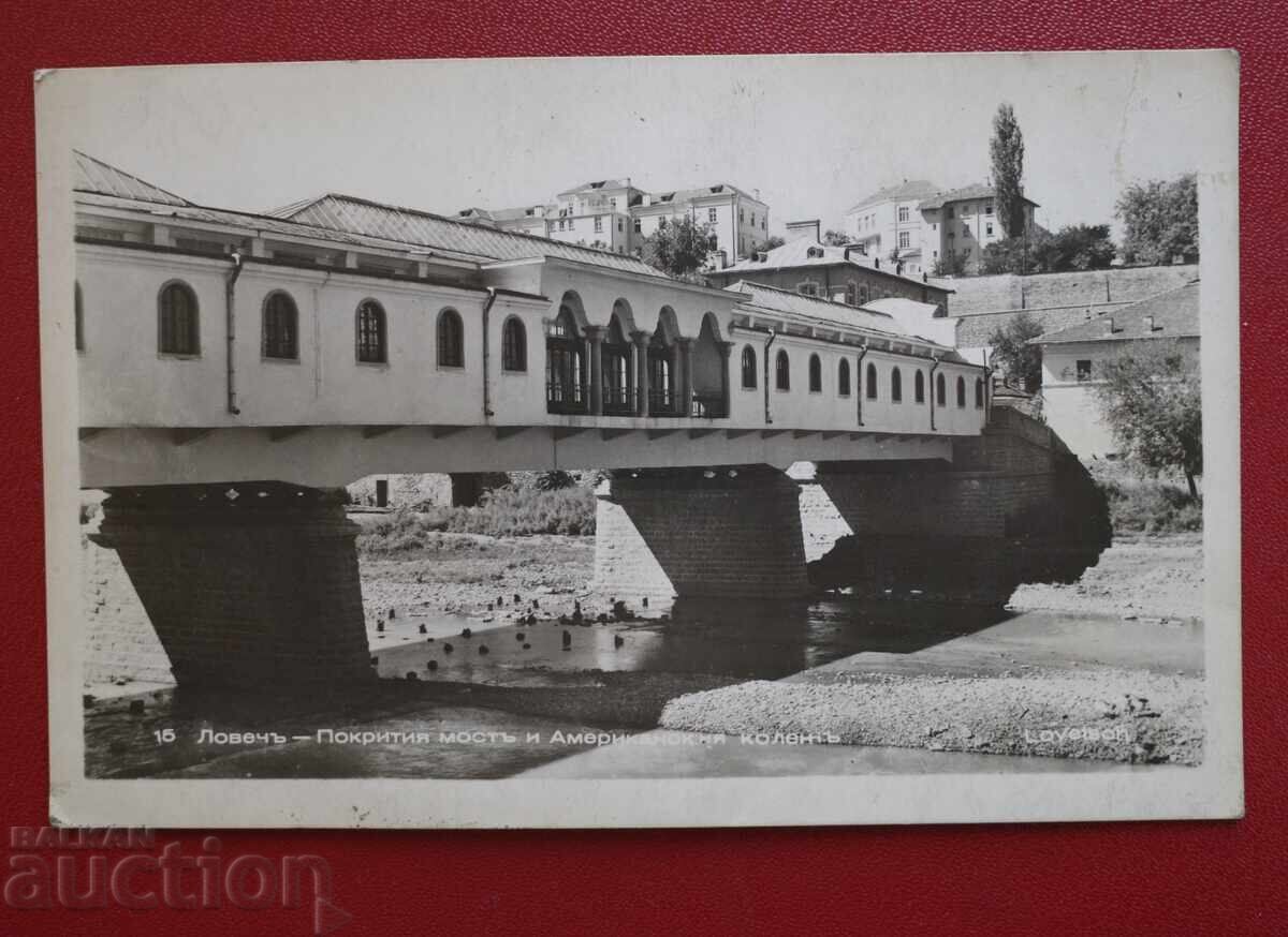 Pascov-Loveci Podul și Colegiul American Pascov-Loveci Podul și Colegiul American