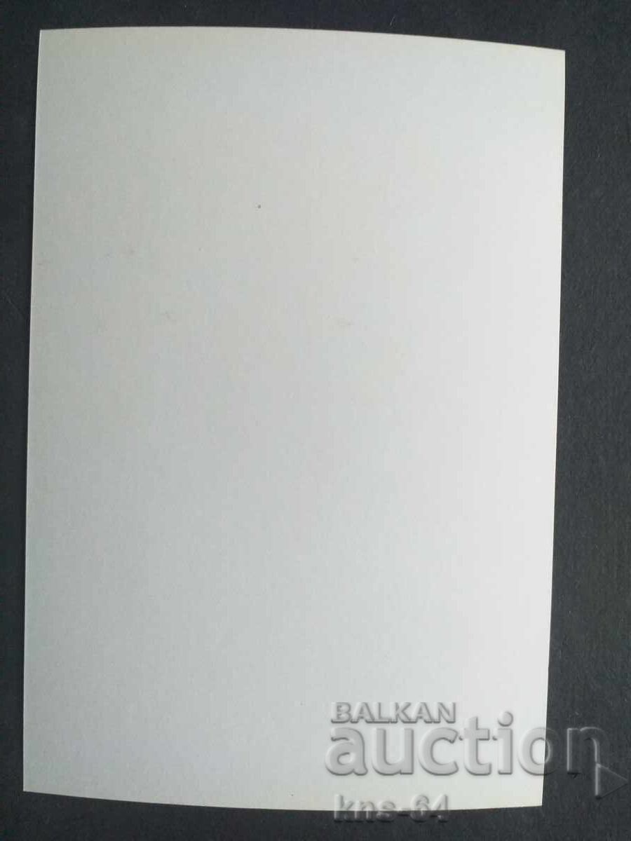 Πέγιο Γιαβόροφ με τιμή 1.20 BGN | € 0.61 Πέγιο Γιαβόροφ με τιμή 1.20 BGN | € 0.61