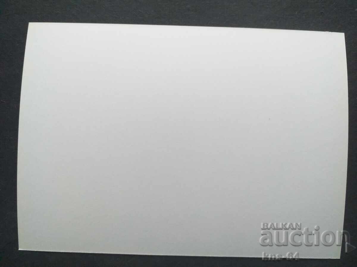 Πέγιο Γιαβόροφ με τιμή 1.30 BGN | € 0.66 Πέγιο Γιαβόροφ με τιμή 1.30 BGN | € 0.66