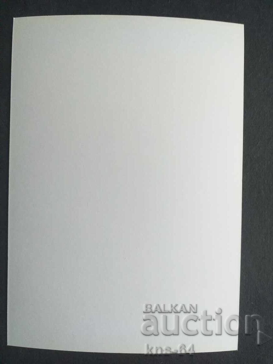 Πέγιο Γιαβόροφ με τιμή 1.20 BGN | € 0.61 Πέγιο Γιαβόροφ με τιμή 1.20 BGN | € 0.61