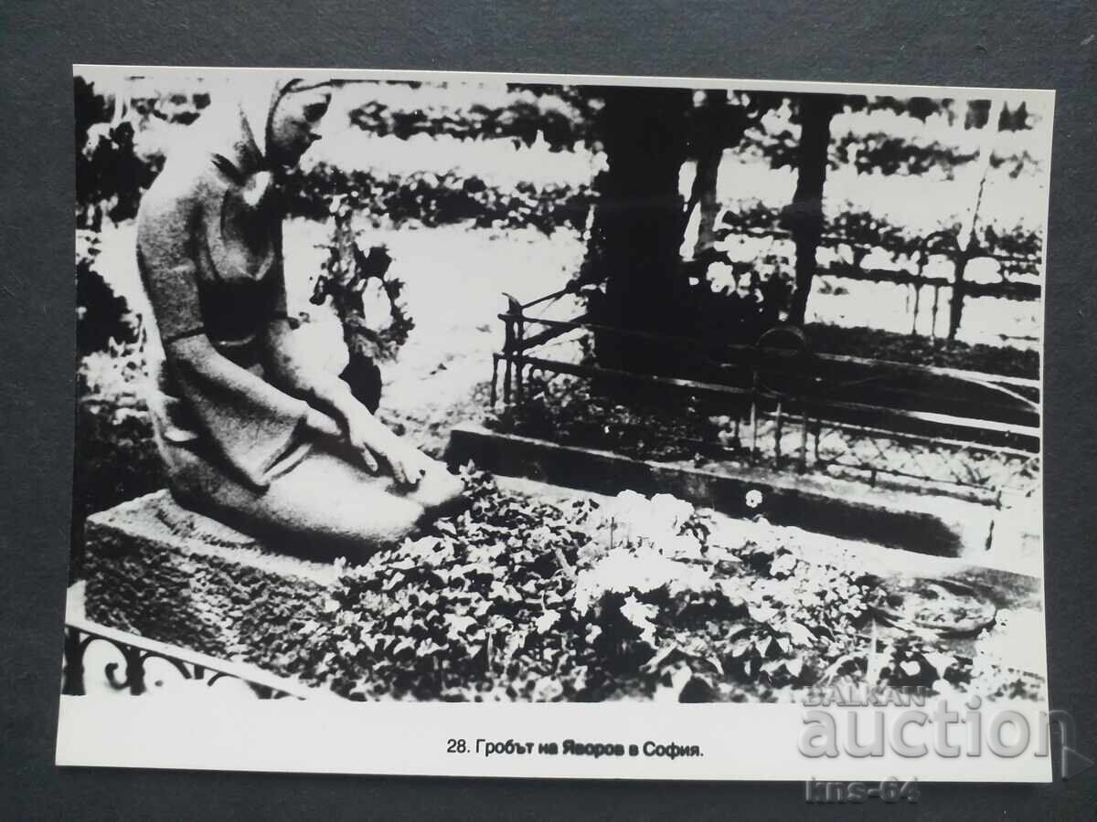 Πέγιο Γιαβόροφ Πέγιο Γιαβόροφ