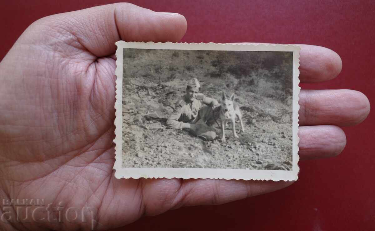 Граничар-Куче с цена 10.00 лв. | € 5.11