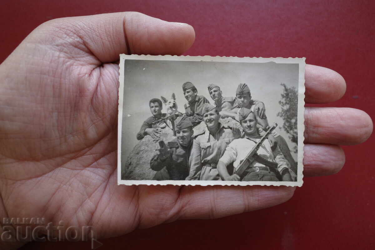 Σκύλος-Φύλακας με τιμή 10.00 BGN | € 5.11