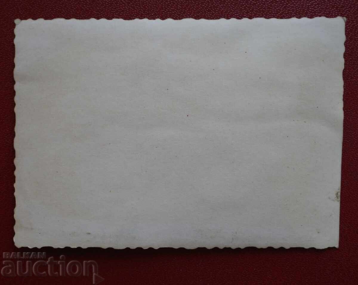 Δημοπρασία Σκύλος-Φύλακας