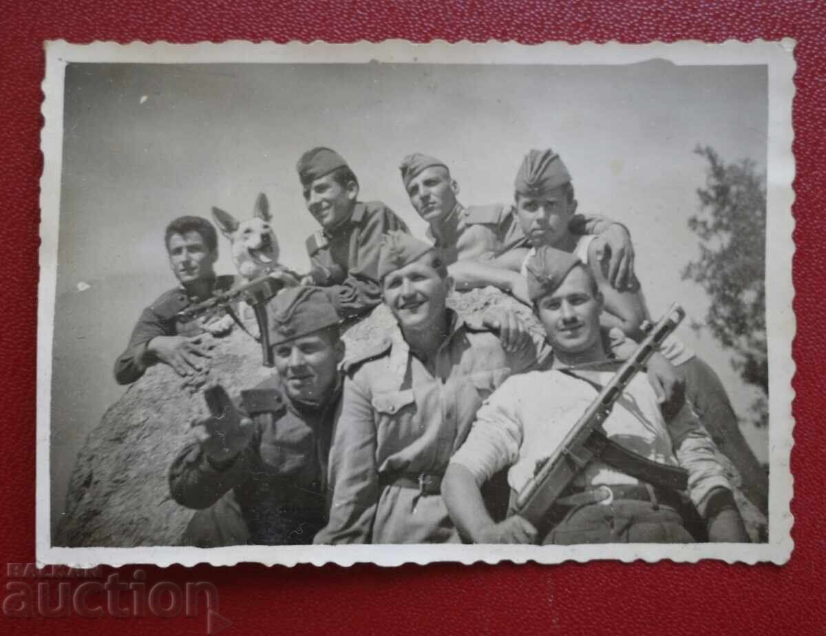 Σκύλος-Φύλακας