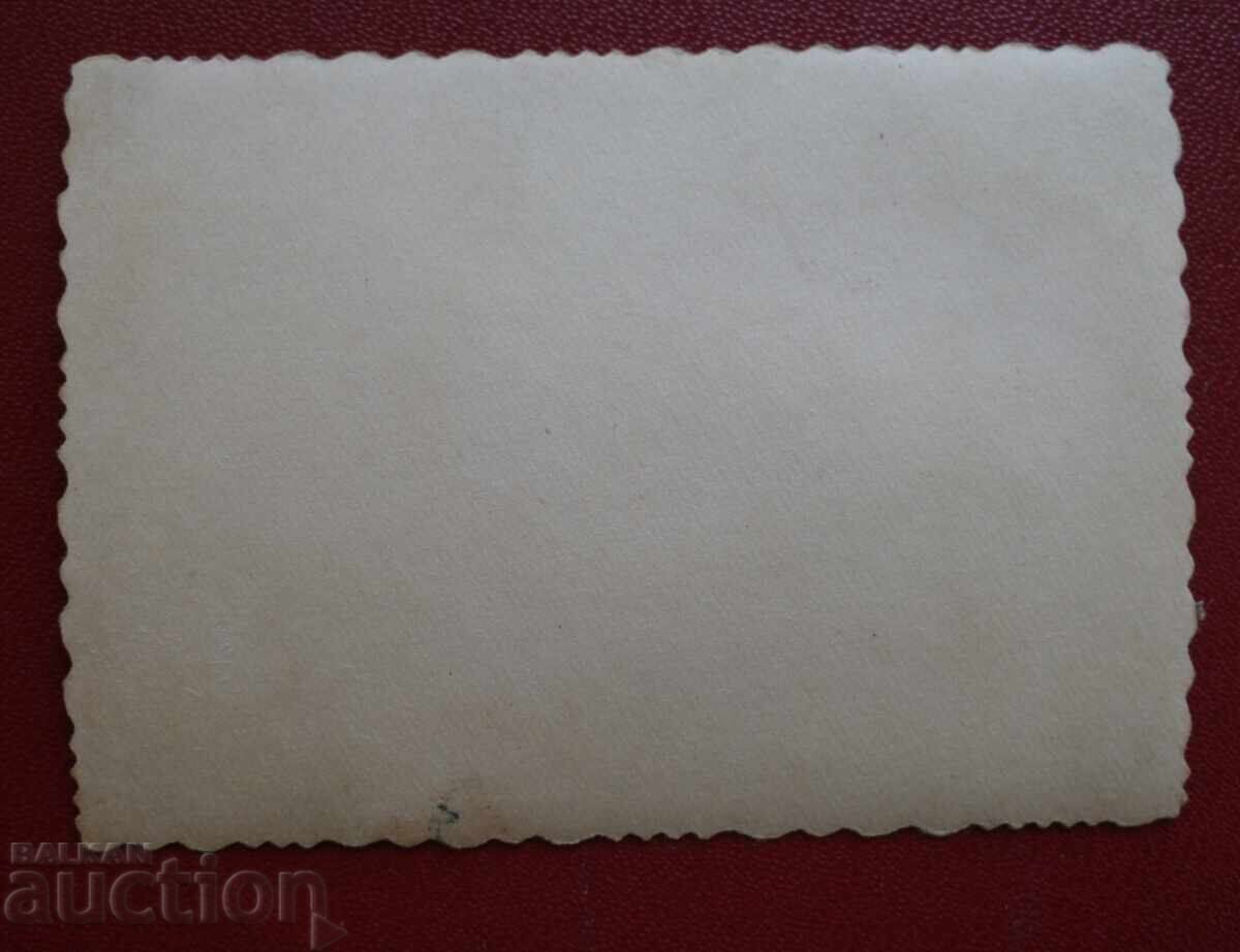 Аукцион Граничар-Куче