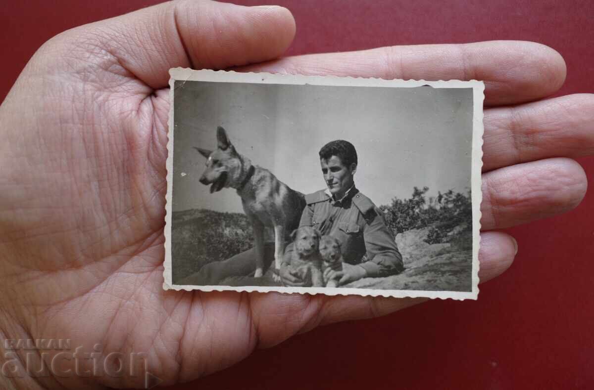 Граничар-Куче малки кучета с цена 10.00 лв. | € 5.11 Граничар-Куче малки кучета с цена 10.00 лв. | € 5.11