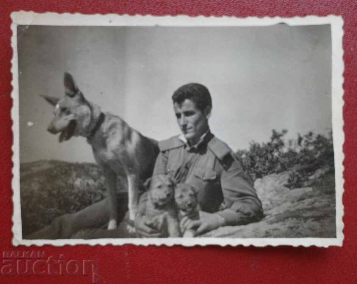 Граничар-Куче малки кучета Граничар-Куче малки кучета