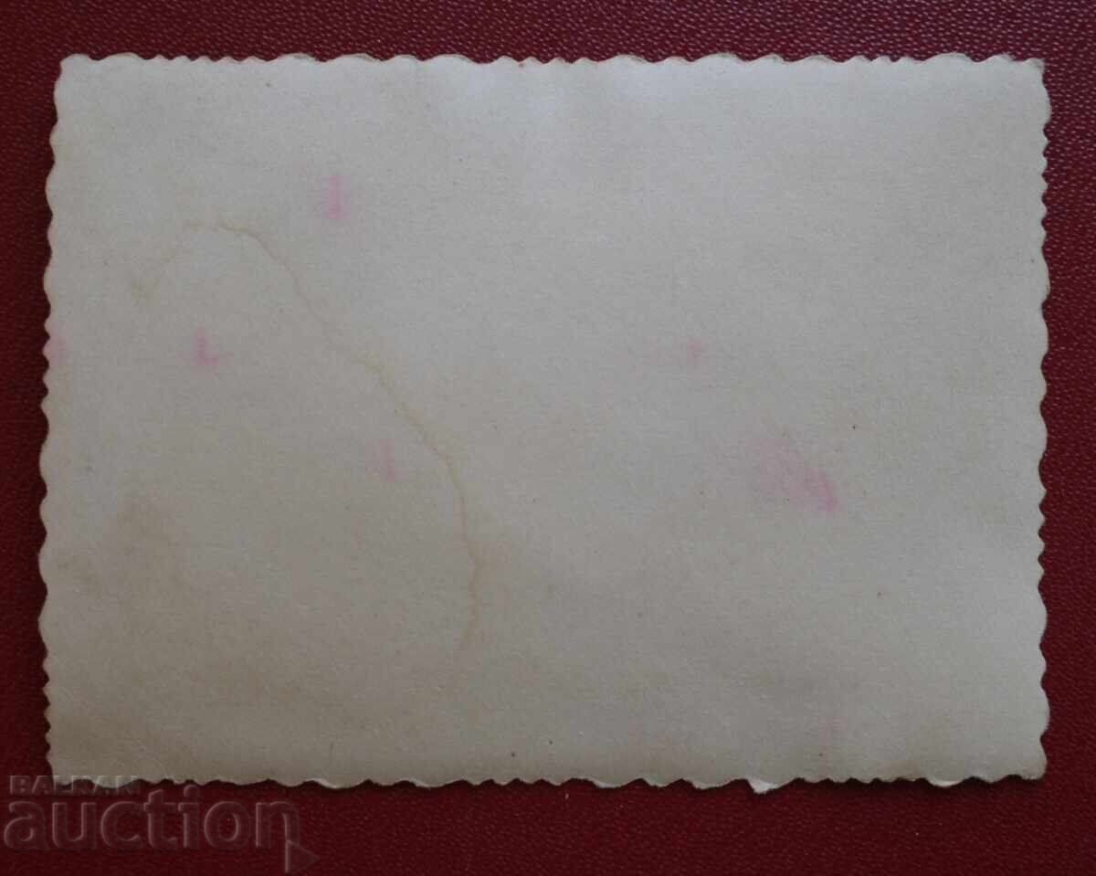 Auction Three Border Guards Three Dogs Auction Three Border Guards Three Dogs