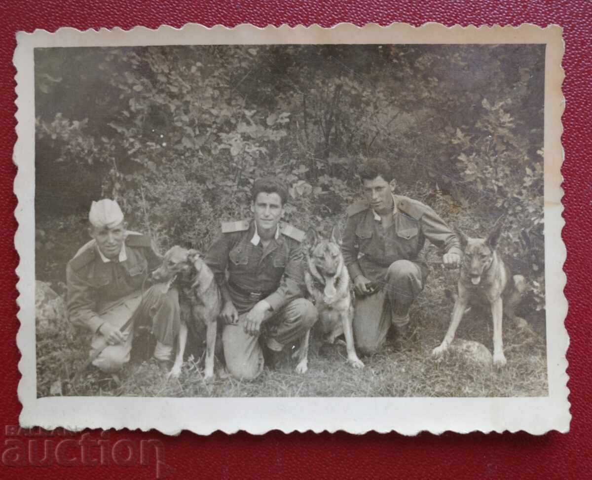 Three Border Guards Three Dogs Three Border Guards Three Dogs