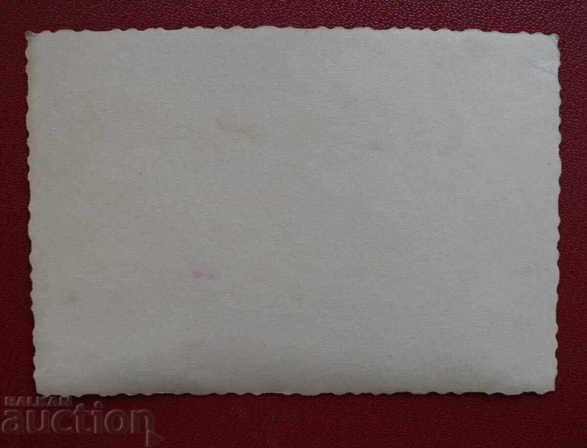 Δημοπρασία Τέσσερις Φύλακες Συνόρων Τέσσερα Σκυλιά Δημοπρασία Τέσσερις Φύλακες Συνόρων Τέσσερα Σκυλιά