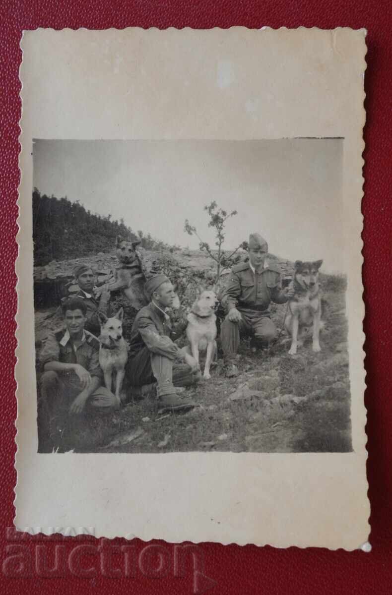 Τέσσερις Φύλακες Συνόρων Τέσσερα Σκυλιά Τέσσερις Φύλακες Συνόρων Τέσσερα Σκυλιά