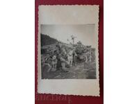 Patru Granițeri Patru Câini