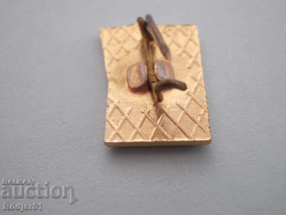 Аукцион значки - спорт - СМ Родина 2 бр Аукцион значки - спорт - СМ Родина 2 бр