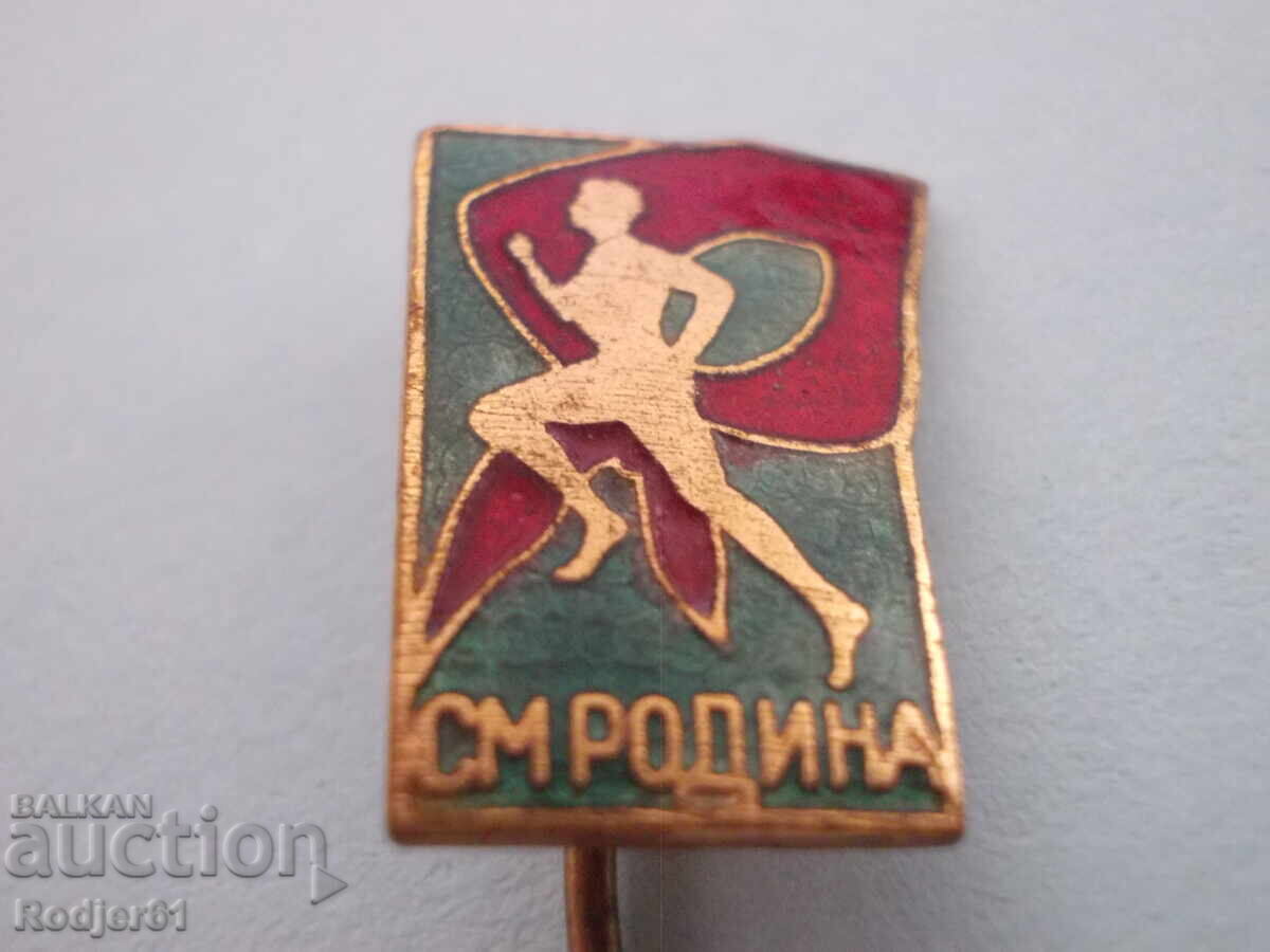 Delivery of Badges - Sport - SM Rodina 2 pcs