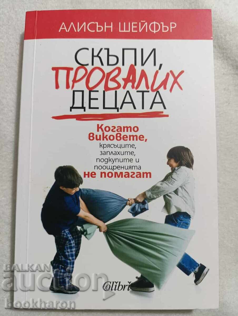 Алисън Шейфър: Скъпи, провалих децата Алисън Шейфър: Скъпи, провалих децата