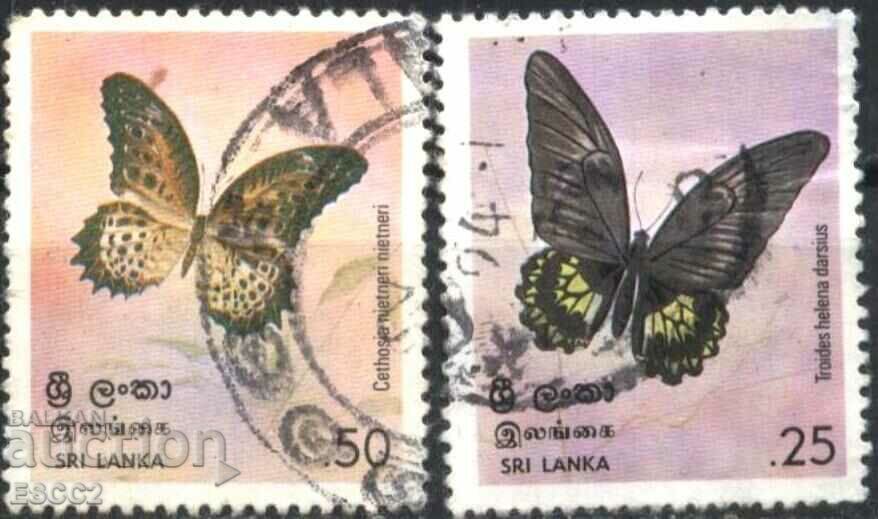 Stamped Stamps Fauna Insects Butterflies 1978 from Sri Lanka Stamped Stamps Fauna Insects Butterflies 1978 from Sri Lanka