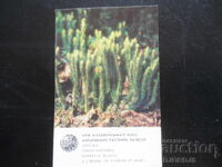 Calendar vechi, 1984