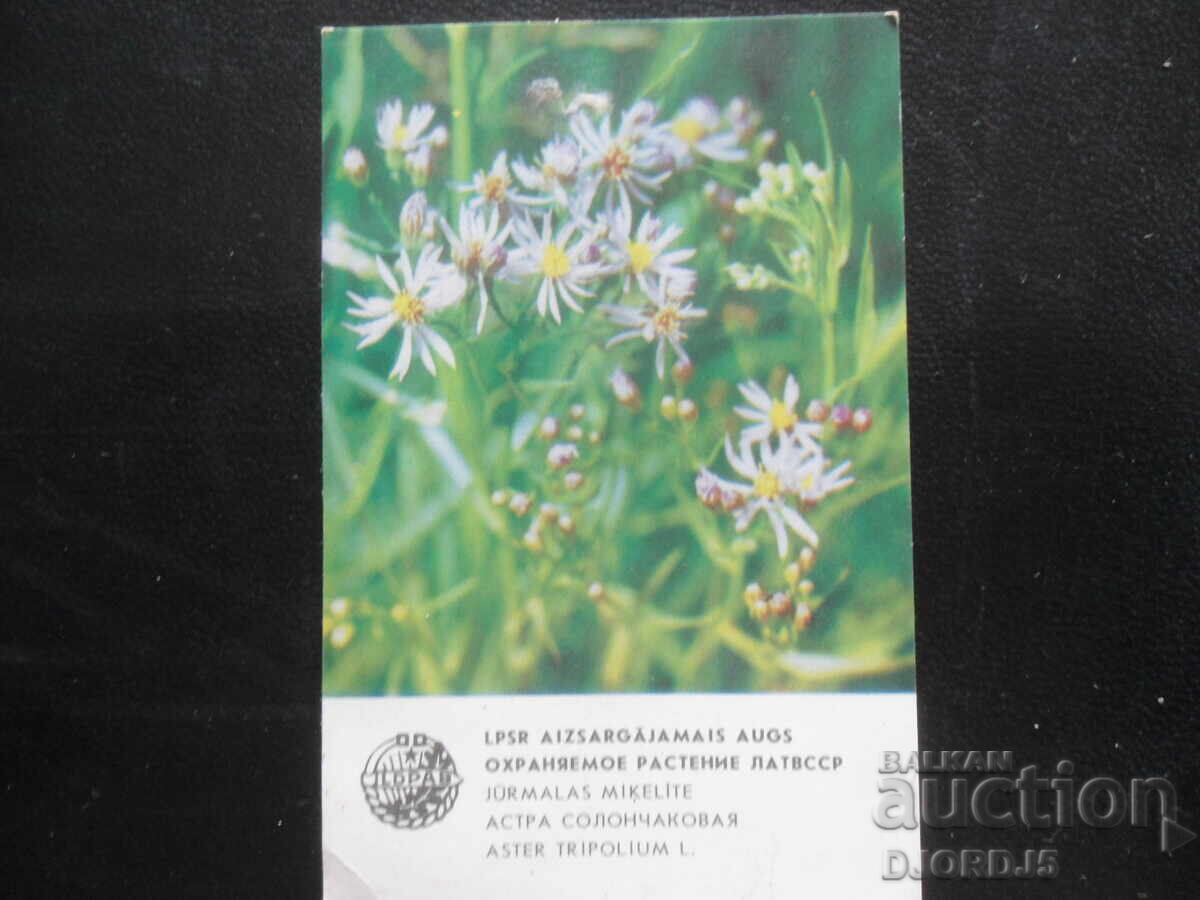 Παλαιό ημερολόγιο, 1984