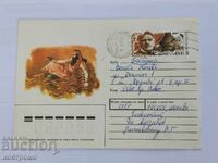 Русия   -  A 5834