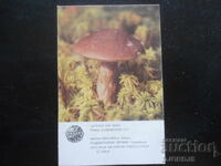 Calendar vechi, 1986