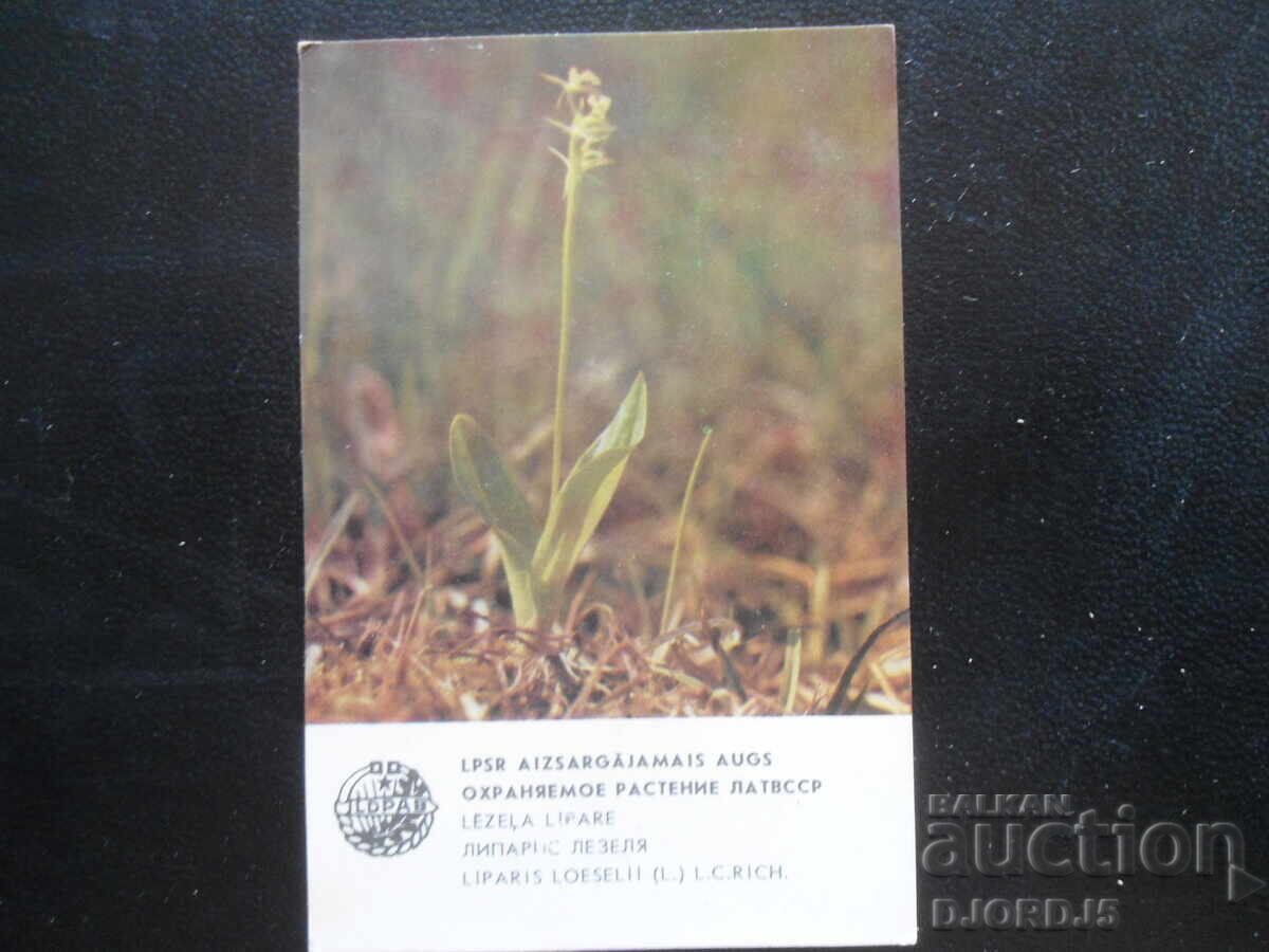 Παλαιό ημερολόγιο, 1984