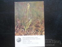 Calendar vechi, 1984