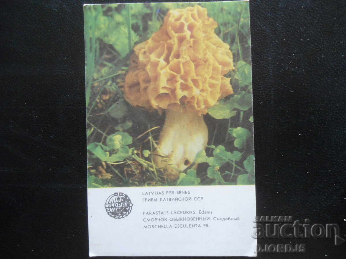 Παλαιό ημερολόγιο, 1986