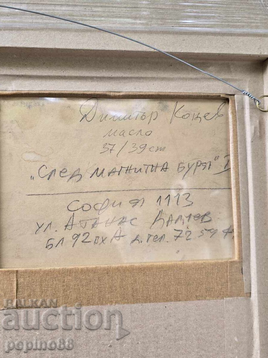 Delivery of B.Z.C. Dimitar Kotsev - After a Magnetic Storm