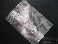 Παλαιό ημερολόγιο, 1991