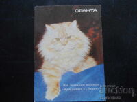 Calendar vechi, 1993