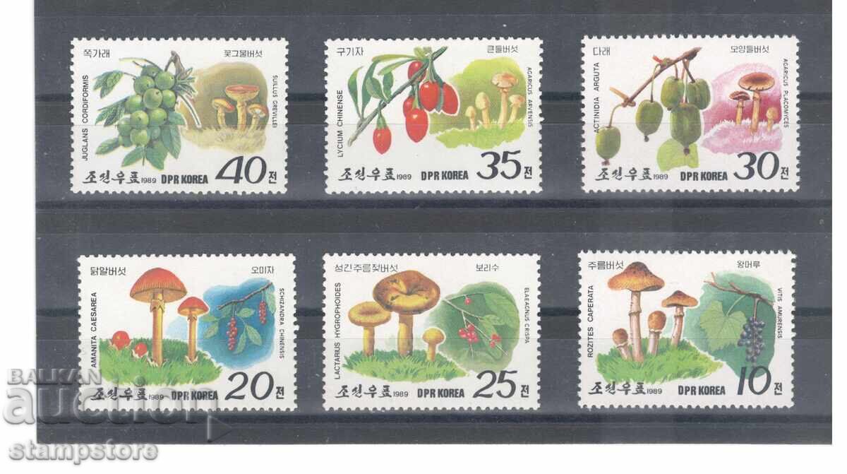 Северна Корея - Гъби Северна Корея - Гъби