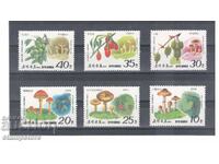 Северна Корея - Гъби