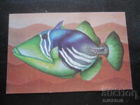 Calendar vechi, 1984