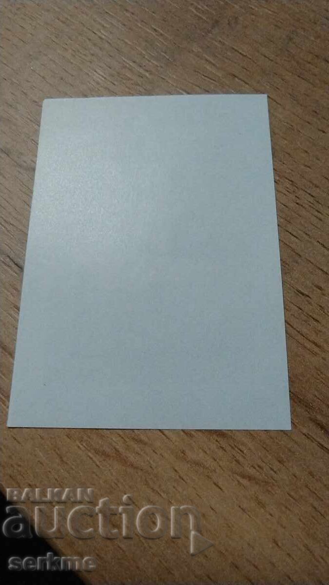 Auction UAE Brand Auction UAE Brand